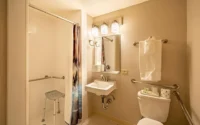 accessible bathroom with shower stool and rails