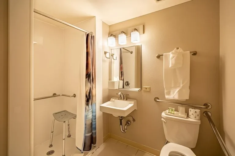 accessible bathroom with shower stool and rails