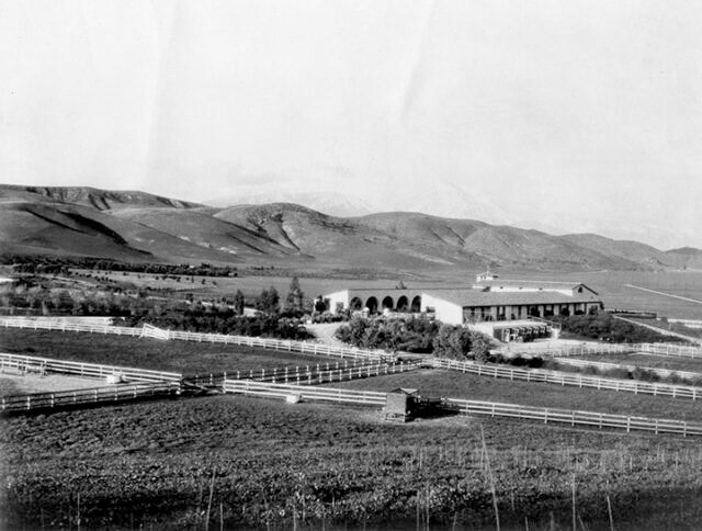 Black-and-white photograph of W.K. Kellogg's Winter Estate stables in Pomona, California, circa 1930