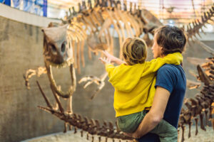 museum goers pointing at dinosaur bones display