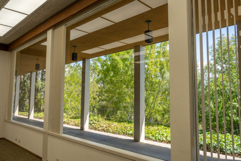 window with a view of trees