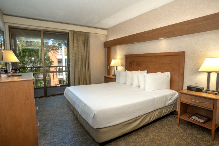 standard king guest room